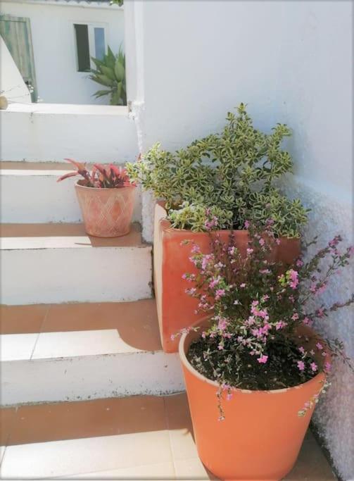 Cozy Apartment With Private Courtyard Barcarena Εξωτερικό φωτογραφία