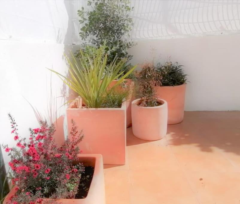 Cozy Apartment With Private Courtyard Barcarena Εξωτερικό φωτογραφία